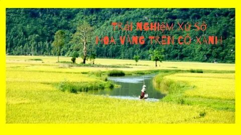 Sự Bùng Nổ Của Video Ngắn và Trí Tuệ Nhân Tạo: Vai Trò Thiết Yếu Của Đào Tạo Kỹ Năng Sáng Tạo Nội Dung_Gói tiếp thị kỹ thuật số dịch vụ